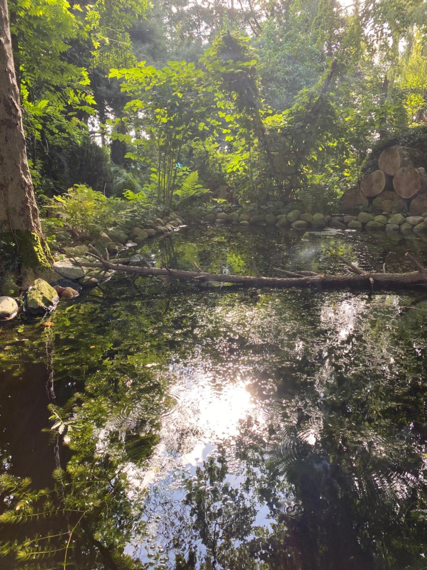 Ferienwohnung Auf Einem Resthof Zentral Gelegen Mit Viel Natur Und Tieren Rendswuhren Exteriör bild