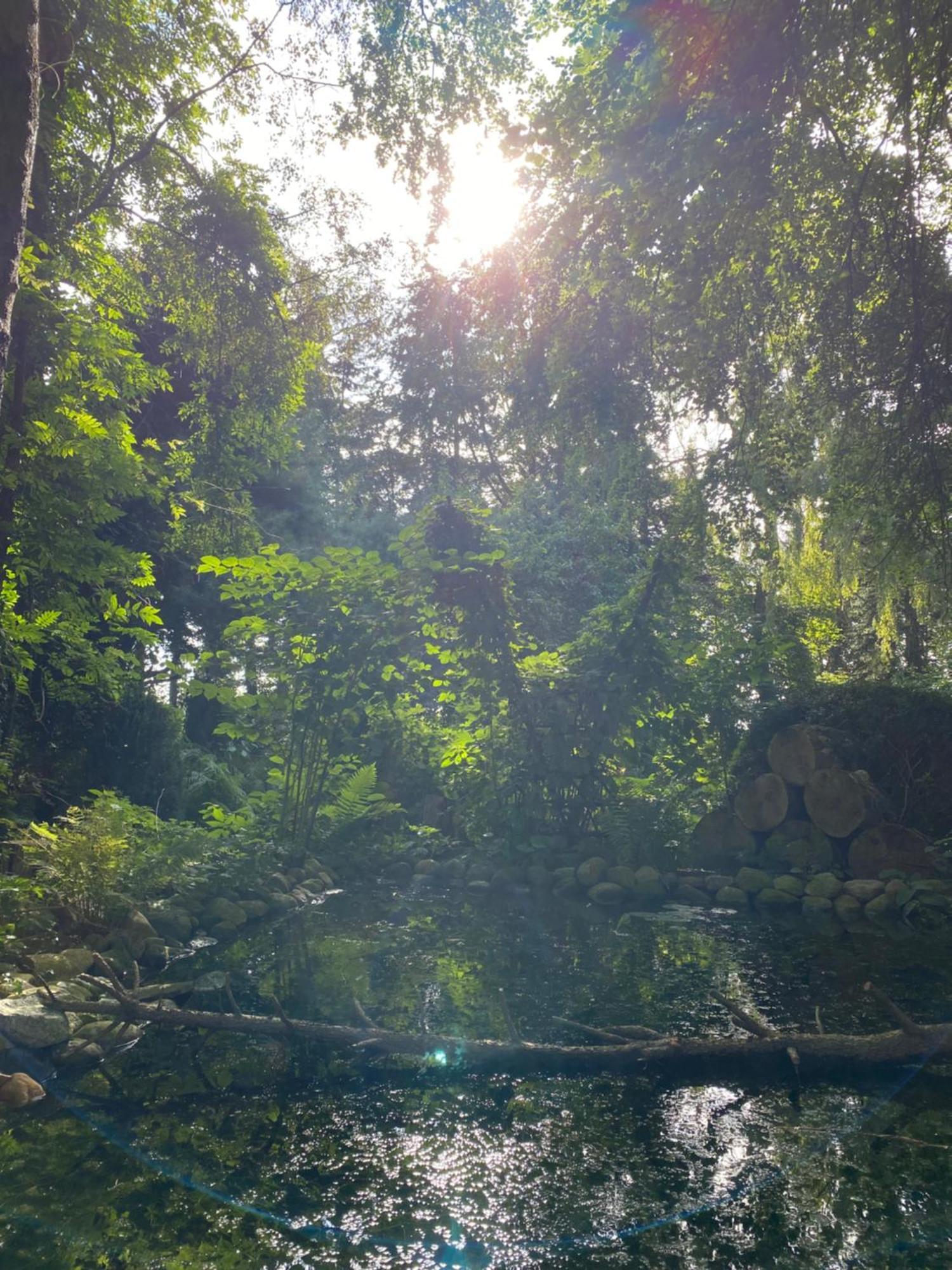 Ferienwohnung Auf Einem Resthof Zentral Gelegen Mit Viel Natur Und Tieren Rendswuhren Exteriör bild